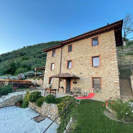 B&B Il Volo Camaiore Esterno foto