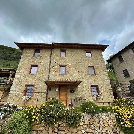 B&B Il Volo Camaiore Esterno foto