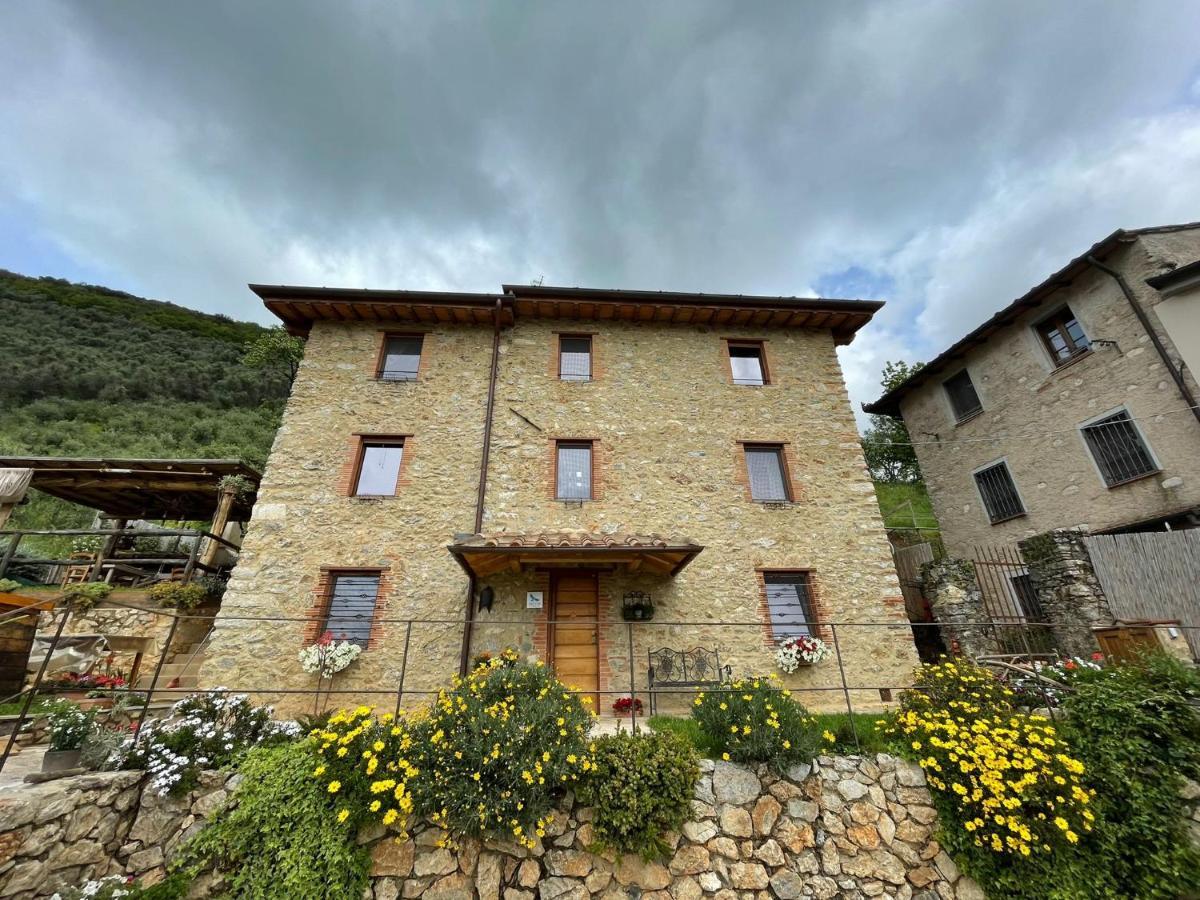 B&B Il Volo Camaiore Esterno foto