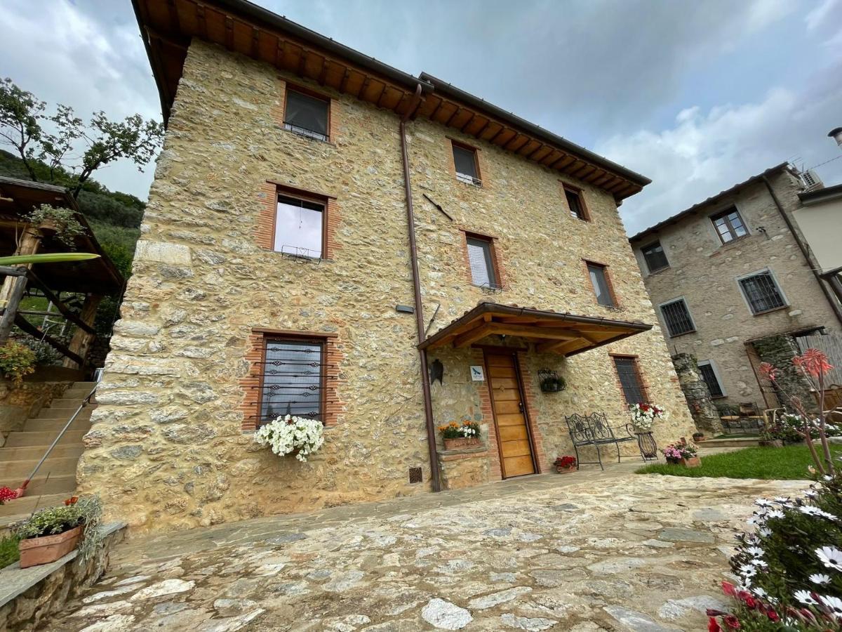 B&B Il Volo Camaiore Esterno foto