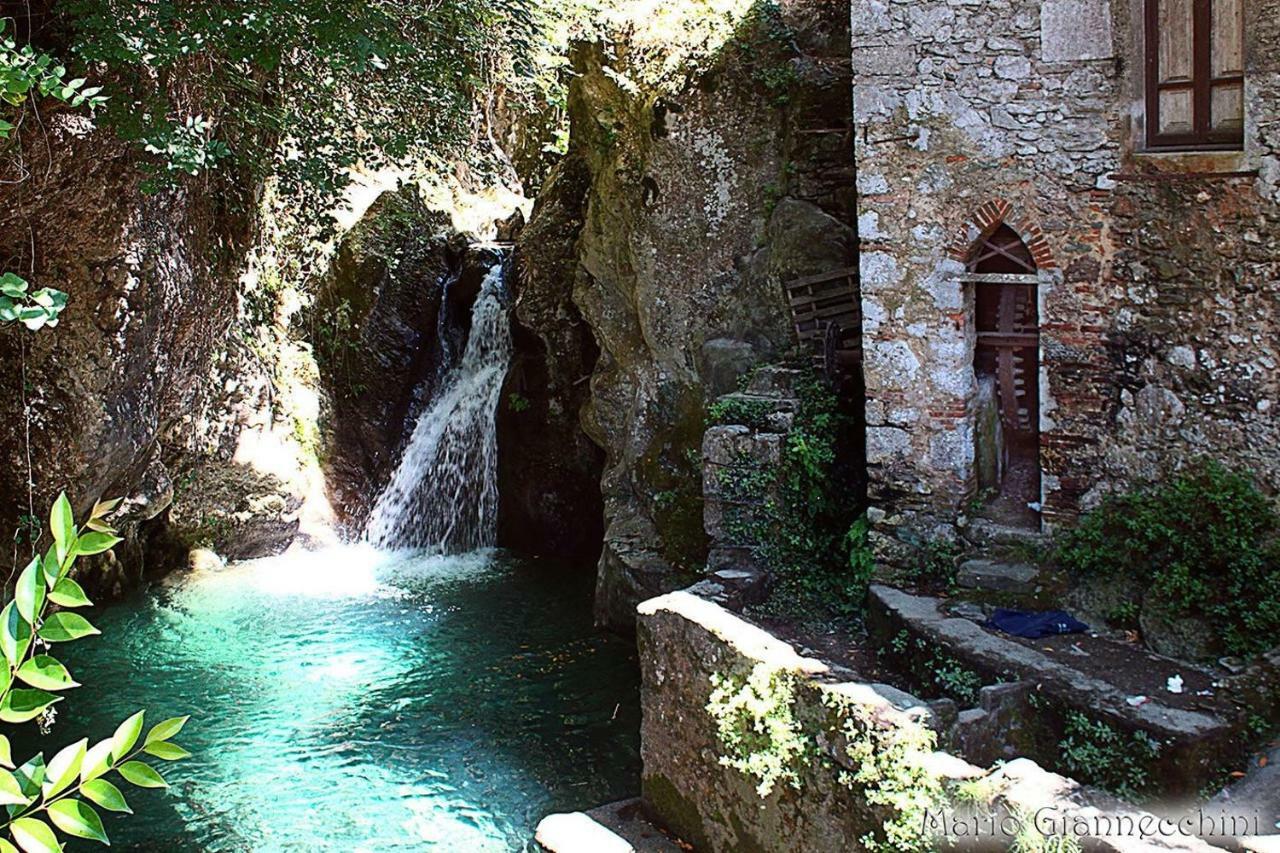 B&B Il Volo Camaiore Esterno foto