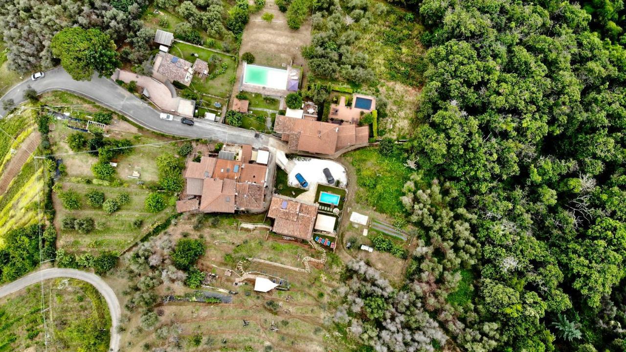 B&B Il Volo Camaiore Esterno foto